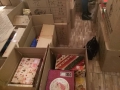 15390656_10208222042649155_6338707601702184743_n