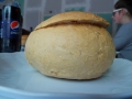 dscn3743